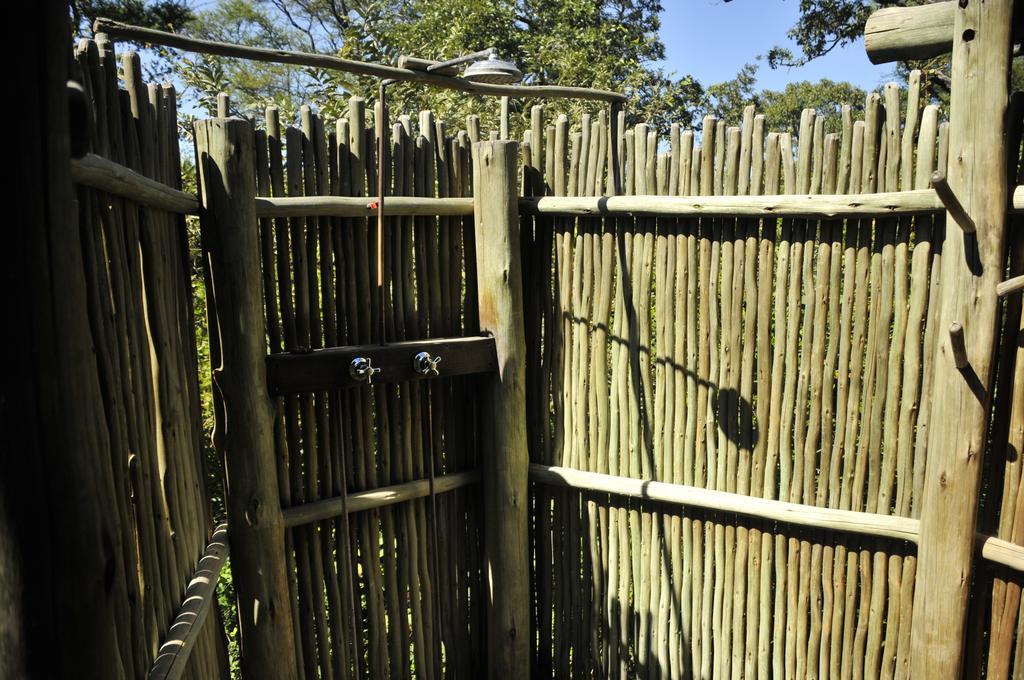 Royal Tree Lodge Maun Room photo