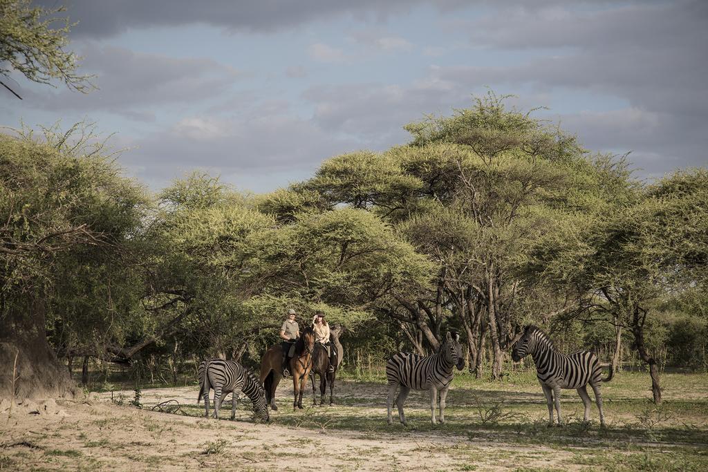 Royal Tree Lodge Maun Exterior photo