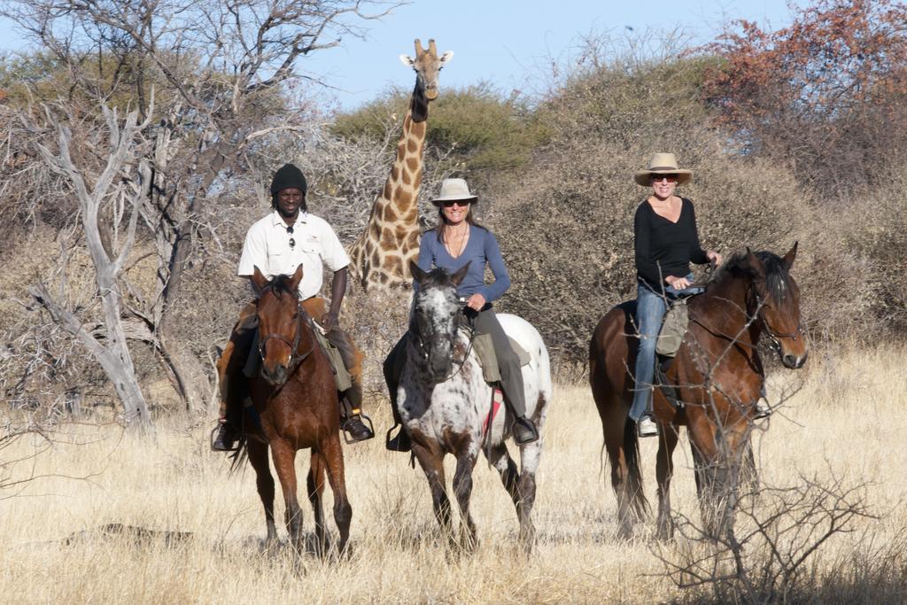 Royal Tree Lodge Maun Exterior photo