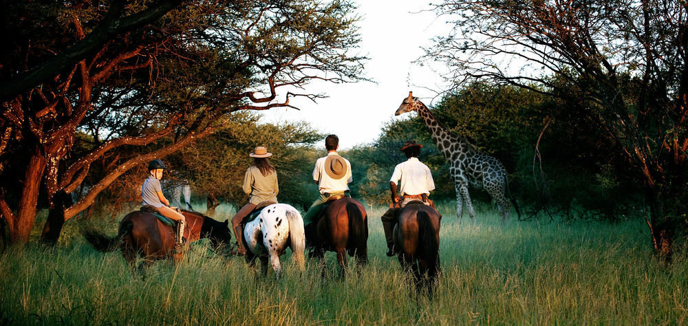 Royal Tree Lodge Maun Exterior photo