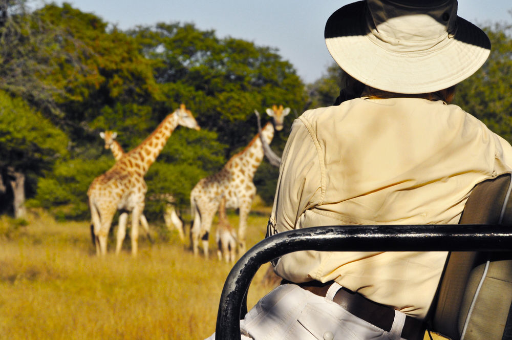 Royal Tree Lodge Maun Exterior photo