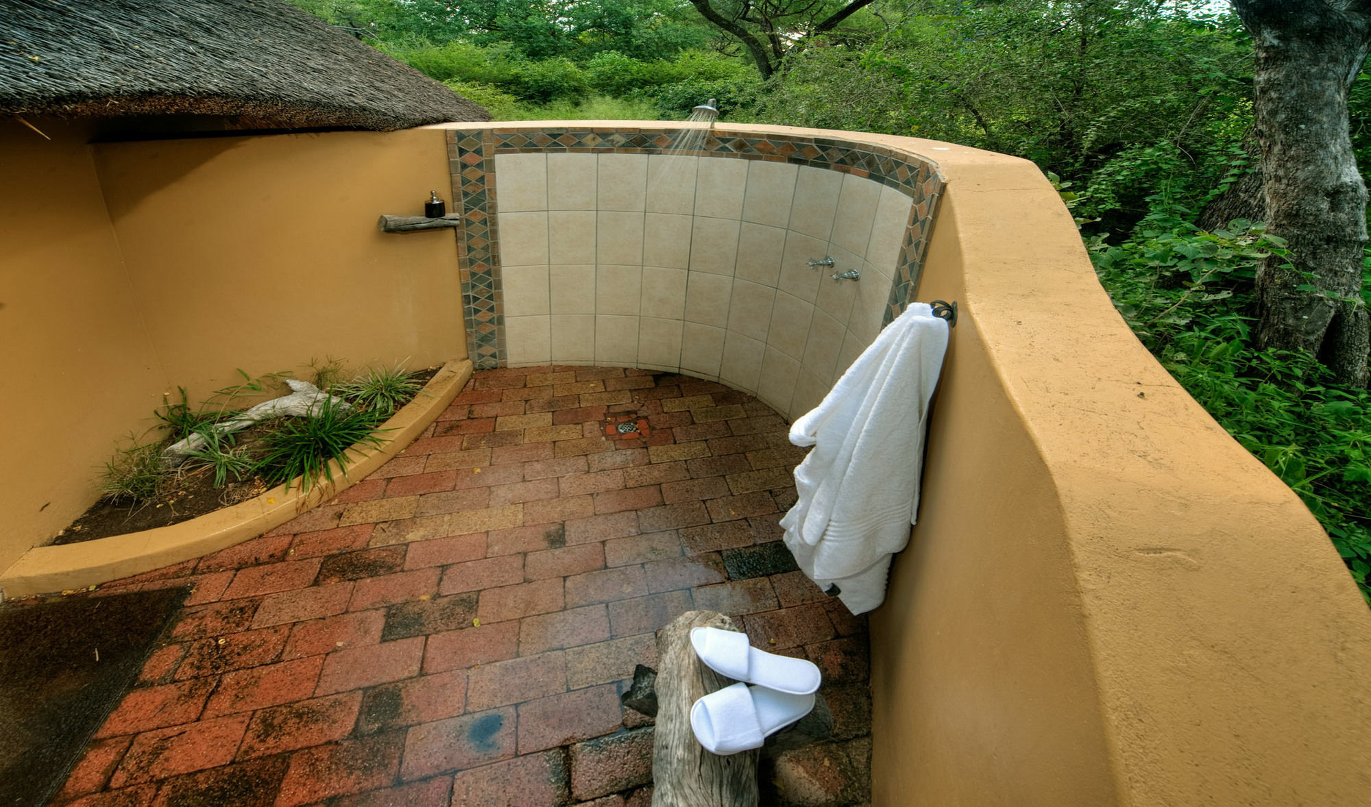 Royal Tree Lodge Maun Exterior photo